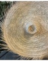 Chapeau de paille à franges