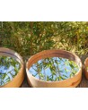 Set de 3 miroirs bois et cuir, fabrication artisanale | Marrakech deco