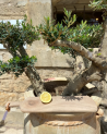 planche a decouper bois artisanale maroc anse cuir |Marrakech deco